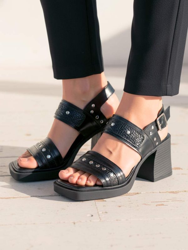 Groseille Black